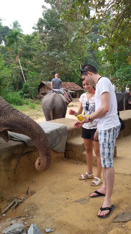 Suwani Pinnawala Homestay Exteriér fotografie
