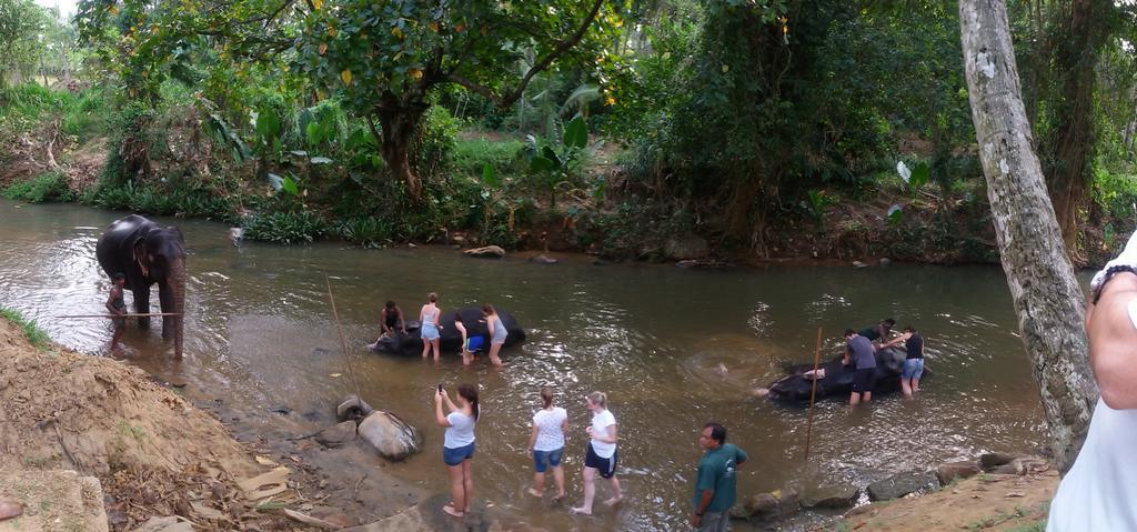 Suwani Pinnawala Homestay Exteriér fotografie