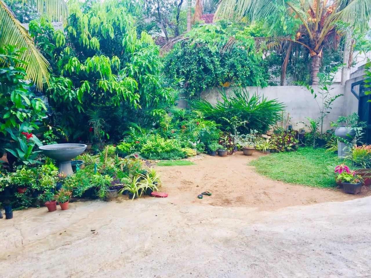 Suwani Pinnawala Homestay Exteriér fotografie